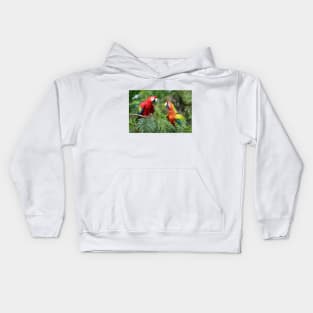 Scarlet Macaws - Costa Rica Kids Hoodie